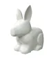 morepic-1