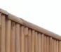 morepic-2