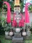 morepic-2