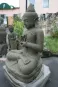 morepic-2