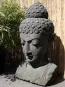 morepic-2