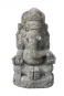 morepic-2