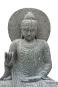 morepic-2