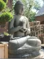 morepic-2