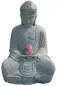 morepic-2