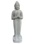 morepic-2
