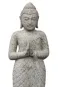 morepic-2