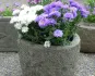 morepic-2