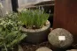 morepic-2