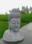 morepic-2