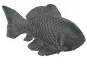 morepic-2