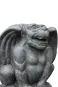 morepic-2