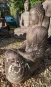 morepic-2