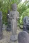 morepic-2