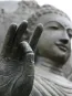 morepic-2
