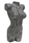 morepic-2