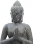 morepic-2
