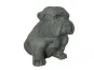 morepic-2