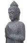 morepic-2