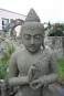 morepic-3