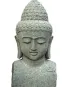 morepic-3