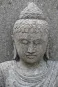 morepic-3