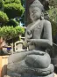 morepic-3