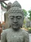 morepic-3