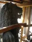 morepic-3