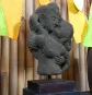 morepic-3