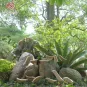 morepic-2