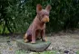 morepic-3