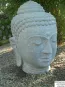 morepic-3