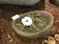 morepic-3