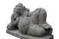 morepic-4
