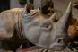 morepic-4
