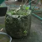 morepic-4
