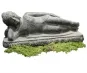 morepic-4