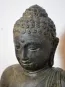 morepic-4