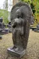 morepic-4