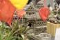 morepic-4
