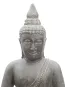 morepic-4