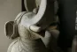 morepic-4