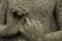 morepic-5