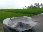 morepic-6