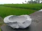 morepic-6