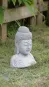 morepic-6